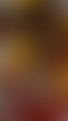 EL TORITO SIGUE POR EL BUEN CAMINO