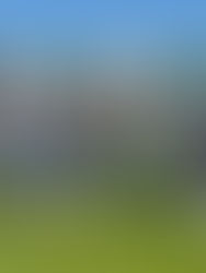 El león va por la levantada ante Las Parejas