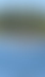 EXPECTATIVA POR LA REGATA DESAFÍO