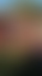 San Patricio gritó Bicampeón de la Copa Provincial