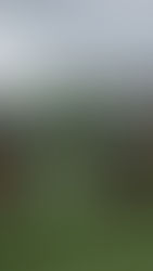 Arranque a paso firme de Neuquén 