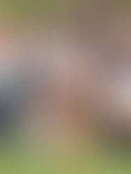 Neuquén va por el boleto al Torneo del interior 