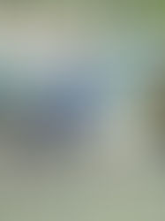 Con partidos claves, se juega una nueva fecha del Oficial A y B de LIFUNE