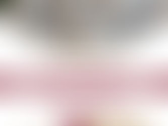 PROGRAMA DE SUBSIDIO