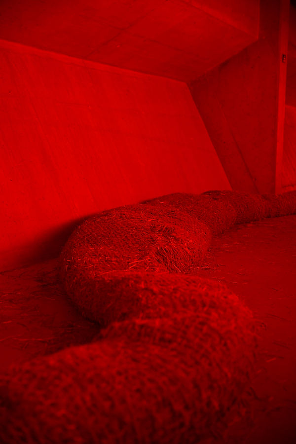 026A8629.jpg