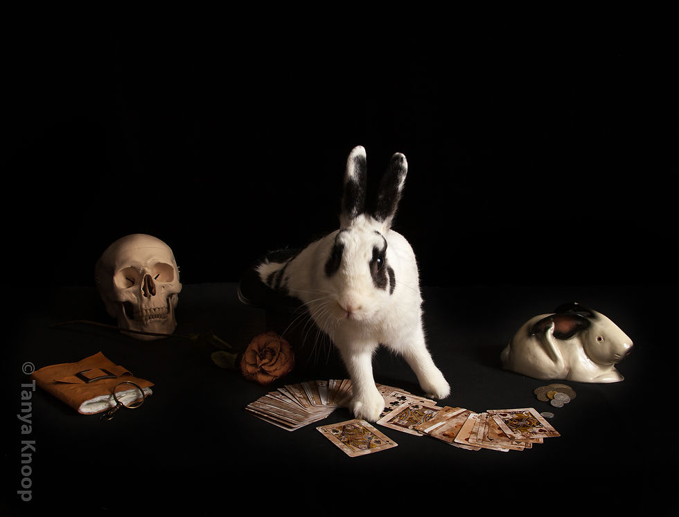 Queen of Spades