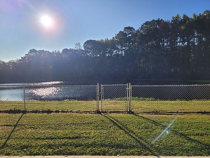 Sun On Pond.jpg