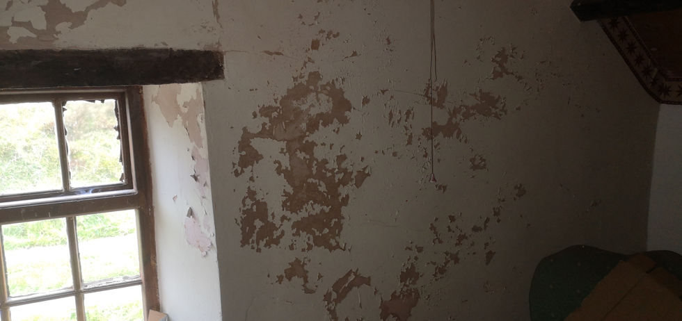 IMG_20211013_115949 (1).jpg