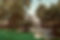 Backyard.jpg