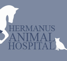 667-hermanus-animal-hospital.jpeg