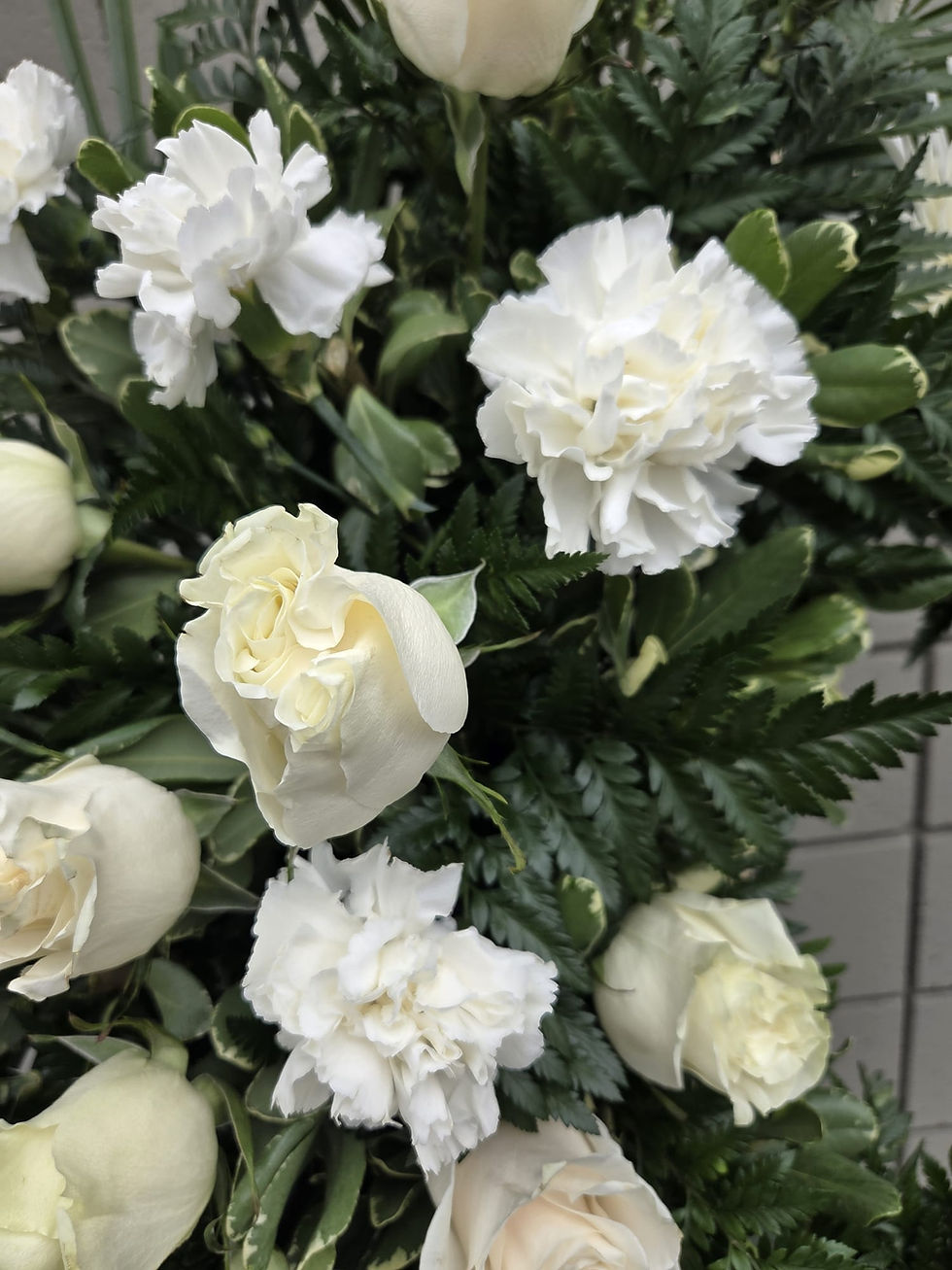 Thumbnail: Albino's Wreath