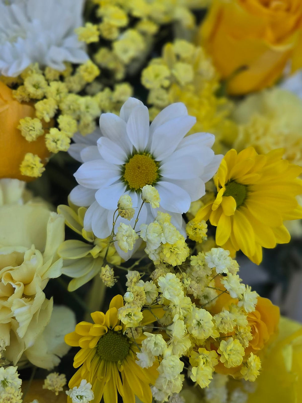 Thumbnail: Everlasting Love in Yellow