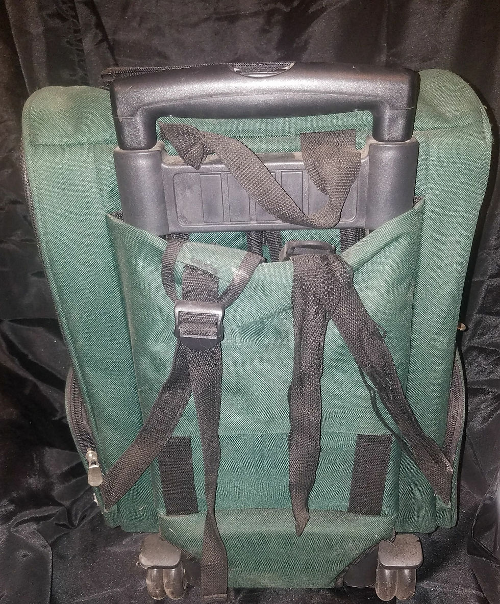 Thumbnail: Pet Backpack/Carrier Travel Bag