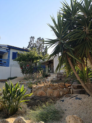 WhatsApp Image 2025-11-09 at 13.37.34 (1).jpeg