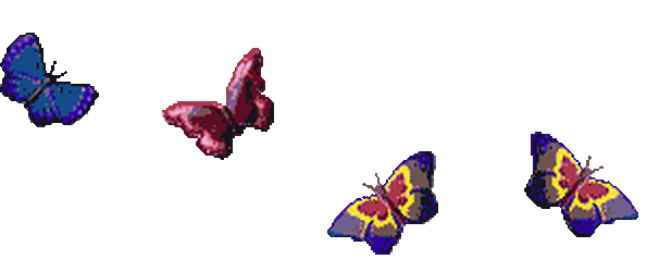 babochki_animate108.gif