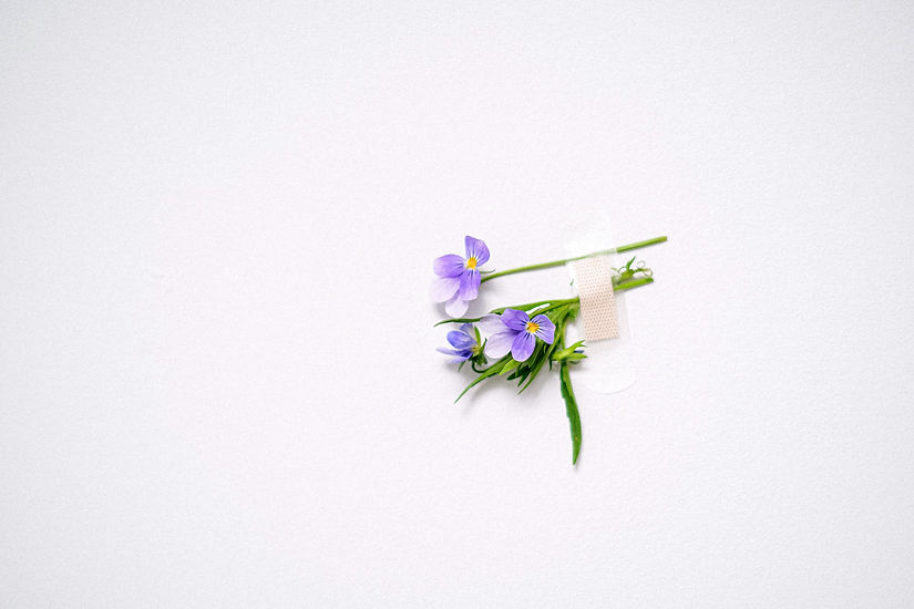 kleine Blüten mit einem Pflaster zum Blumenstrauß gebunden.