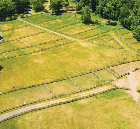 10_pasture_dji_0096_1200x674.jpg