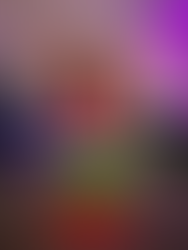 School Formal - 360 Video Booth