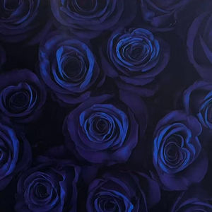 Vibe360 Photo Booth Backdrop - Midnight Rose