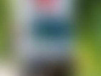LEV’s: Licht Elektrische Voertuigen – Waarom zijn ze zo in trek?