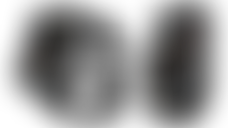 Zebra WS301 – Kompakter Enterprise-Mobilcomputer für den professionellen Dauereinsatz