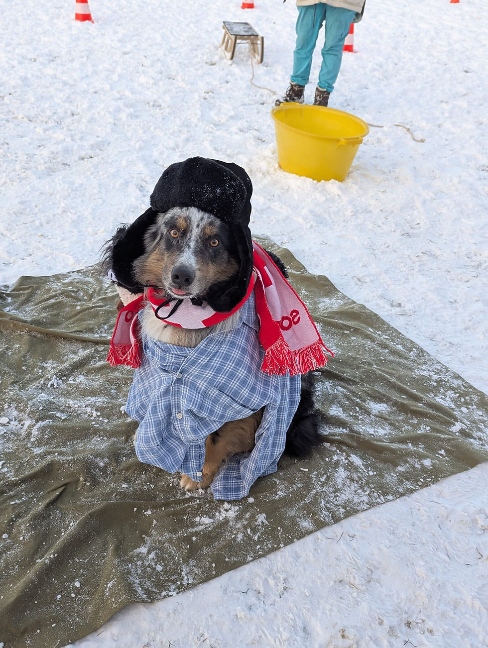 WhatsApp Image 2026-01-06 at 10.45.15