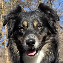 WhatsApp Bild 2025-05-27 um 20.33.45_7e902c53.jpg