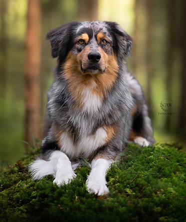 WhatsApp Bild 2024-04-28 um 23.26.34_6e6df927.jpg