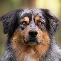 WhatsApp Bild 2024-04-28 um 23.26.34_6e6df927.jpg