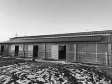 B69829C0-5630-4517-AEC2-EDC4272A2460_1_201_a.jpeg