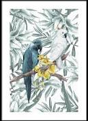 CUADRO TROPICAL BIRD PAJARO TROPICAL