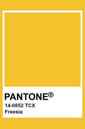 PANTONE AMARILLO FREESIA