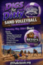 Digs for Ditty Sand Volleyball Tournament
