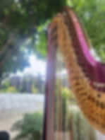 Wedding at La Terrain