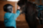Closeup of a kid stroking a horse. The boy is preparing to learn pony riding in the cold s