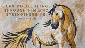 Stop and hold your horses!