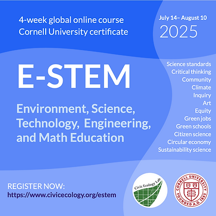 new ESTEM flyer.png
