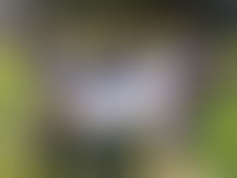 北村隼人　「楽ではないが楽しい道」