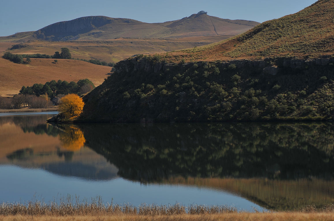 NPP_7807 Curragh Lake.JPG