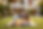 house image 2.png