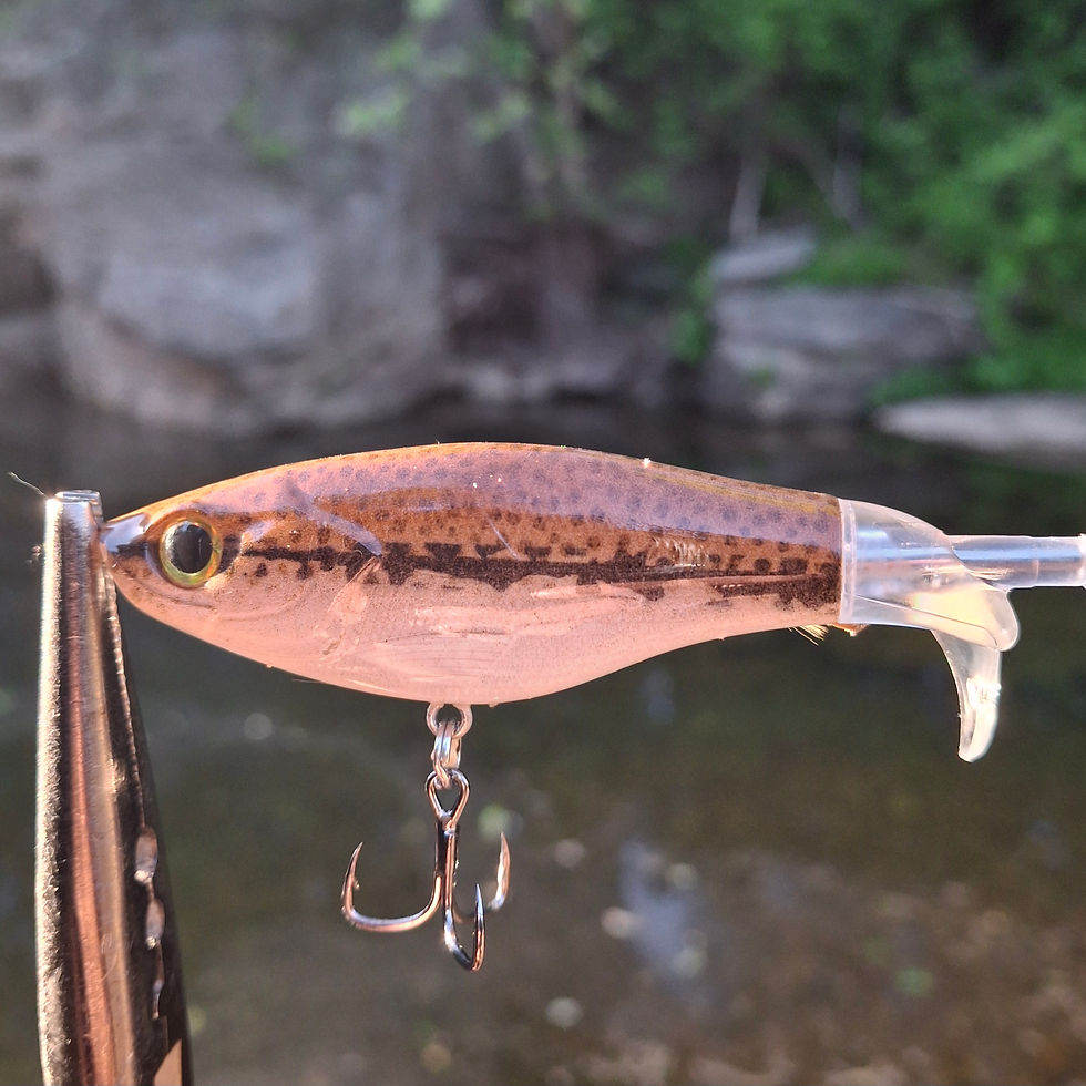 Thumbnail: Twelve Oaks Custom Ploppers