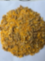 12% steer finisher.jpg