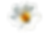 flower bee cutout.png