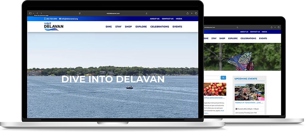 vist delavan - laptop