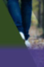 Rotary Garden Cards walking club.jpg