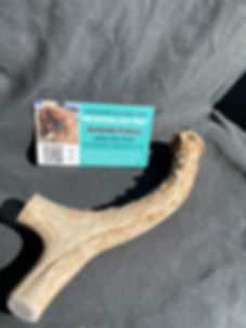 XL JUMBO DEER