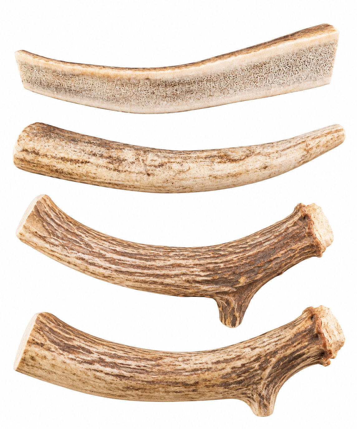 LARGE ANTLER DOG CHEWS
