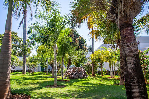 Área verde do residencial Ville Art
