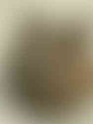 3 Bouteille en forme de faucon