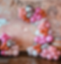 Hoop Backdrop Package